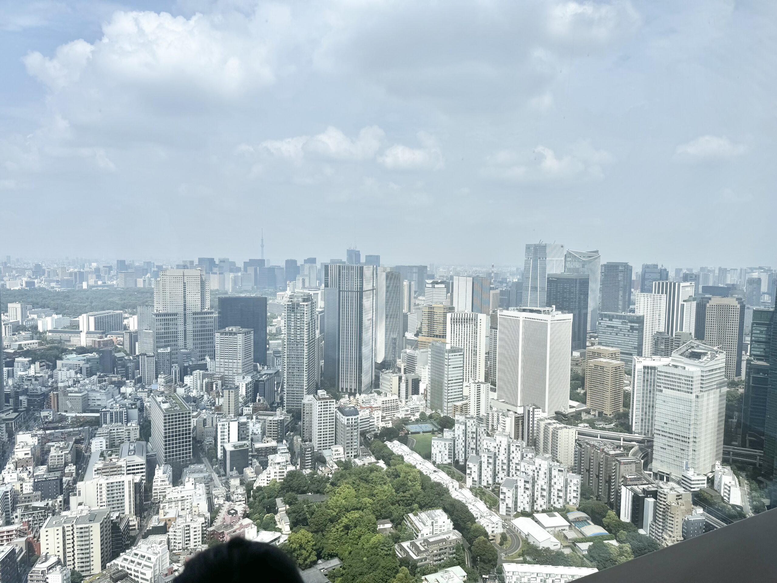 リッツ・カールトン東京からの眺望